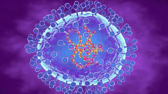 Viral disease HMPV HMPV क्या है?